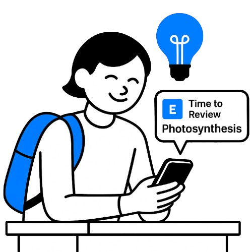 Revise your studies with ELARO